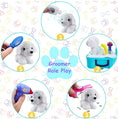 Load image into Gallery viewer, Pet Care Service