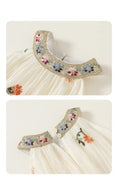 Load image into Gallery viewer, Ancient Embroidery Dress