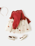 Load image into Gallery viewer, Embroidery Baby Dress