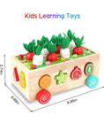 Load image into Gallery viewer, Montessori Garden
