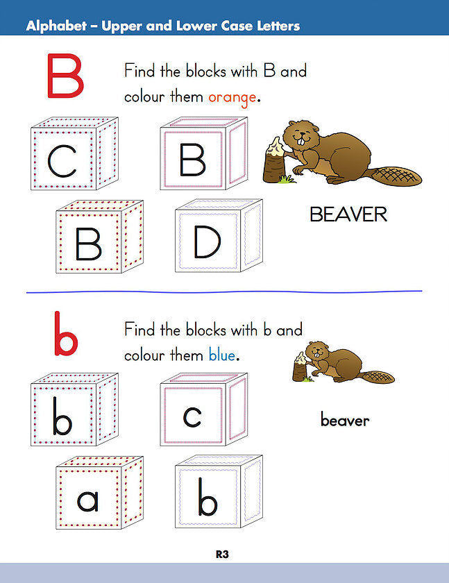 Learning Essentials Preschool (Practice Book)