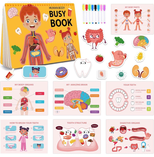 Our Body (Busy Book)