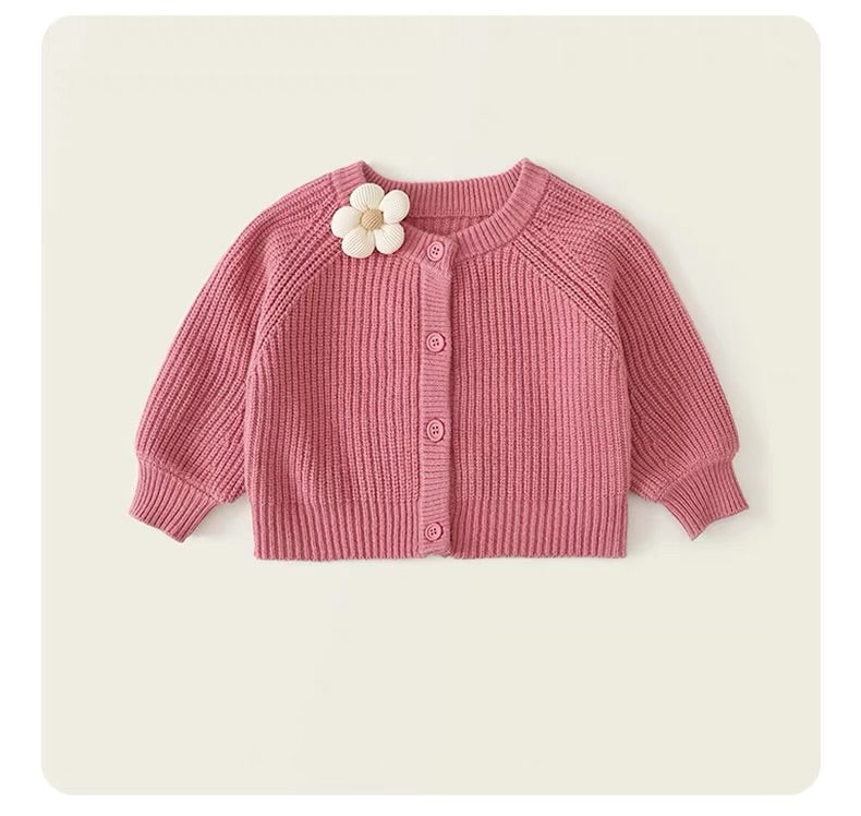 Isabelle Dress + Sweater