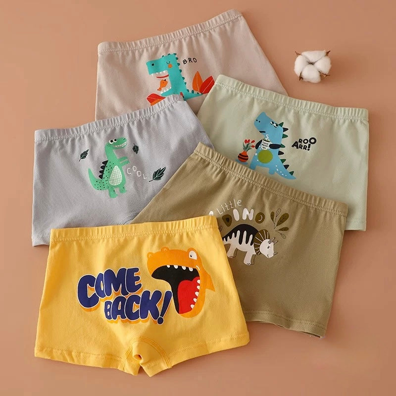 Dino Adventure Boxer