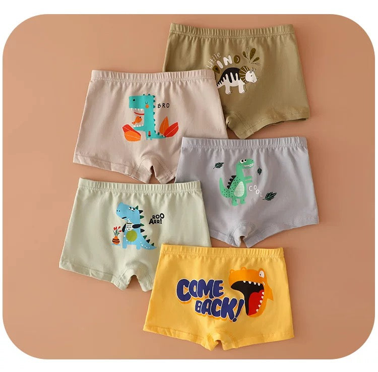 Dino Adventure Boxer