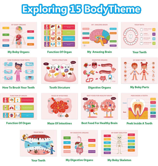 Our Body (Busy Book)