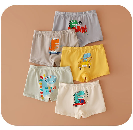Roar & Explore Dino Boxer