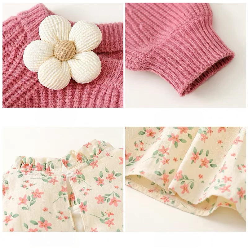 Isabelle Dress + Sweater