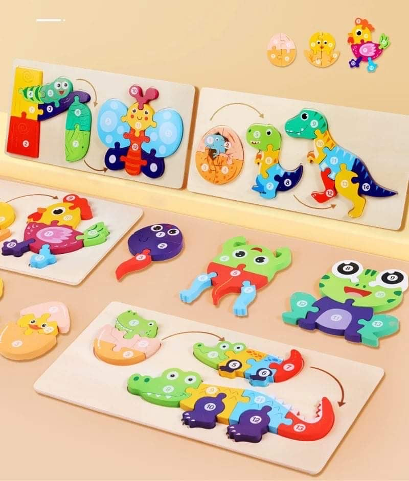 Montessori Wooden Puzzle 