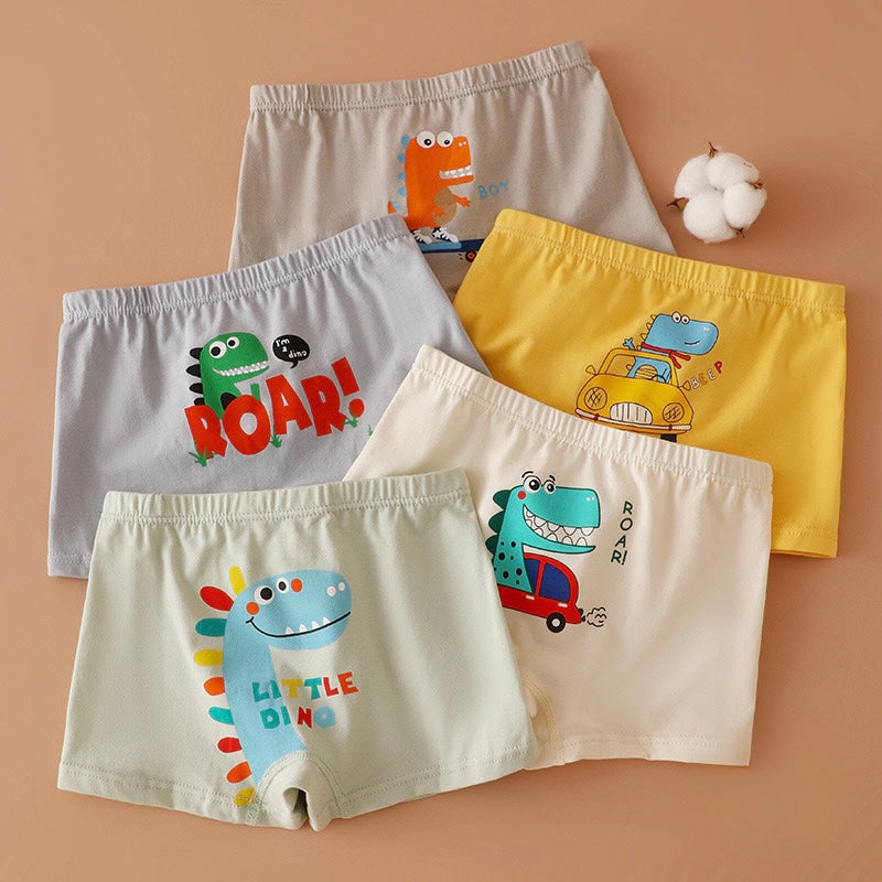 Roar & Explore Dino Boxer