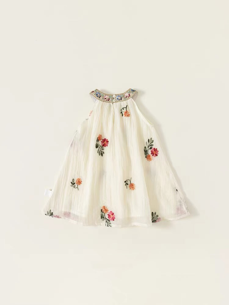 Ancient Embroidery Dress