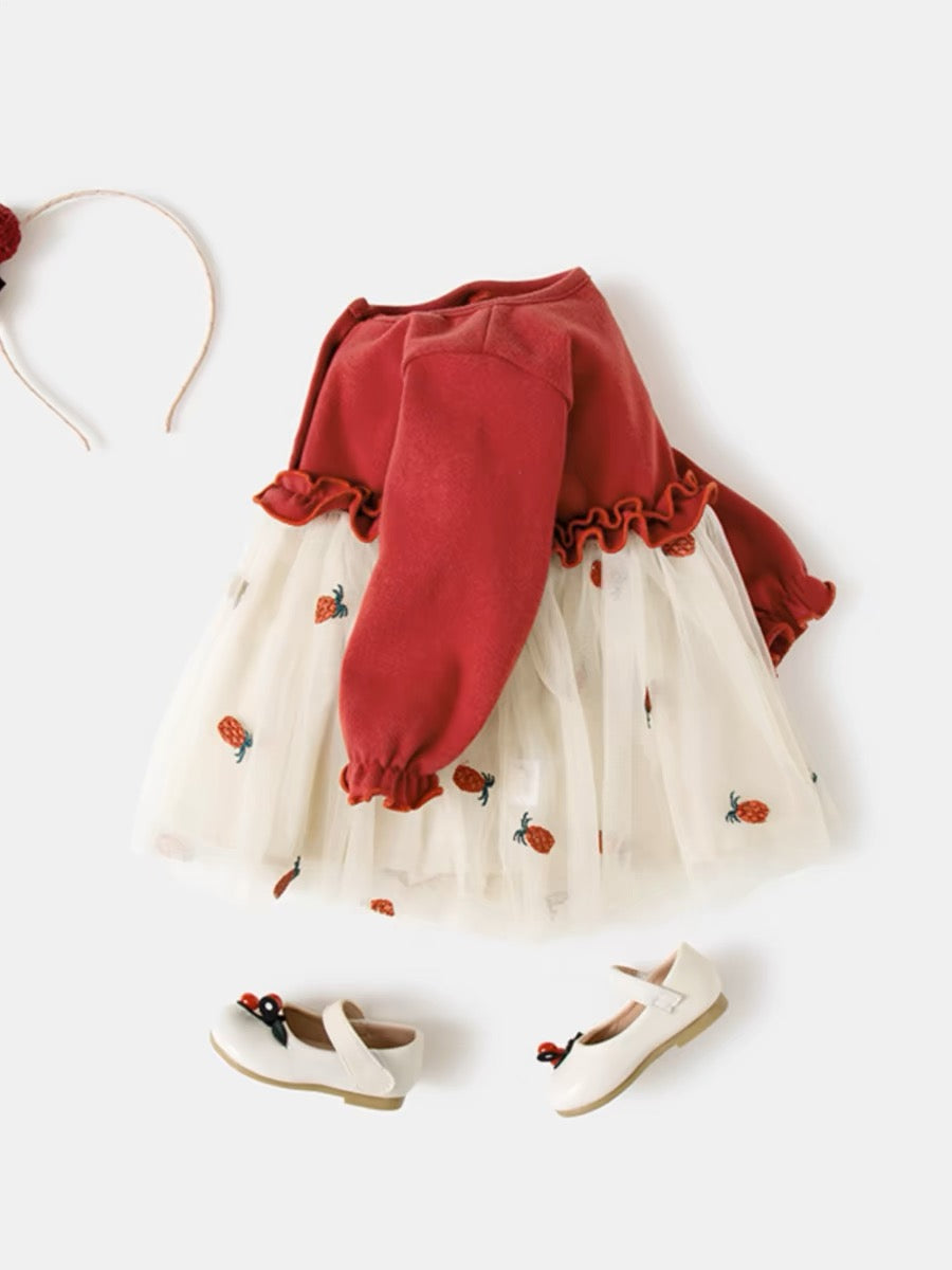 Embroidery Baby Dress