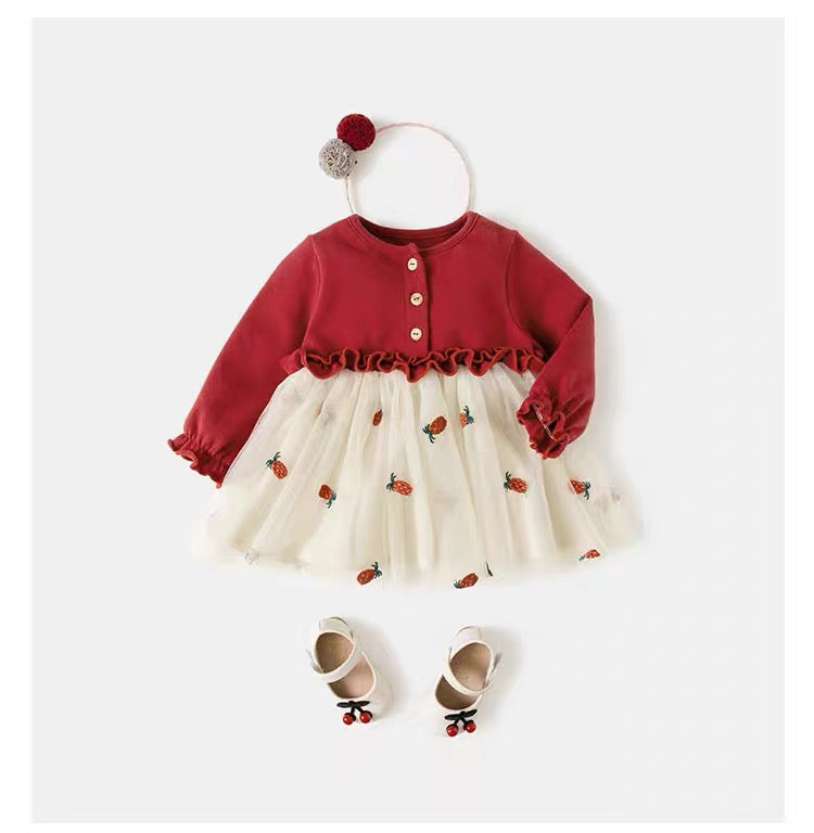 Embroidery Baby Dress