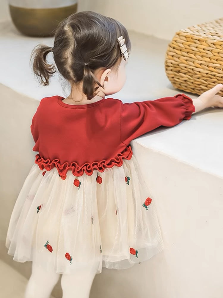 Embroidery Baby Dress